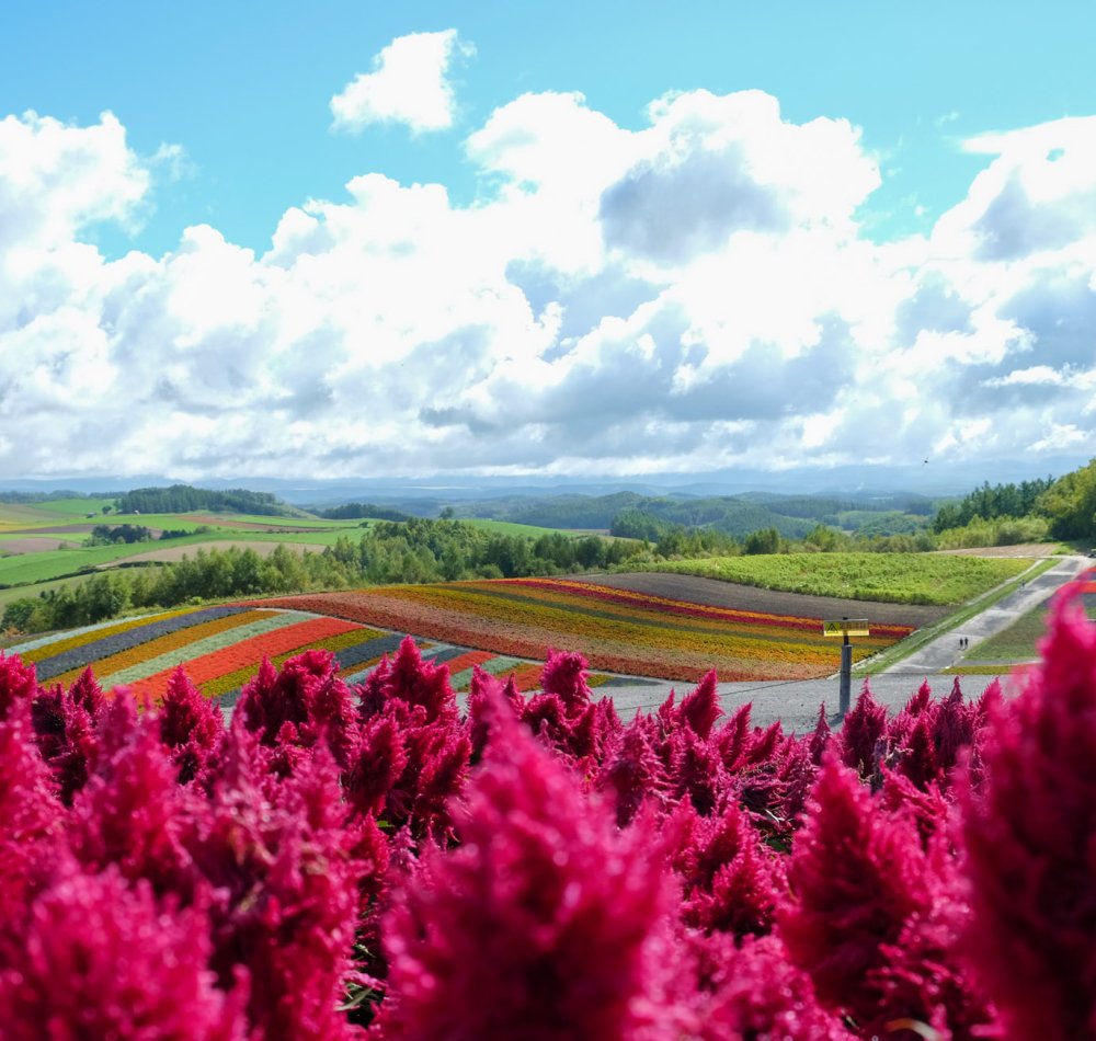 Biei (Hokkaido), The blue water of Lake Aoi-ike 