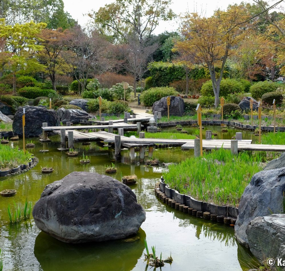 Daisen Park (Sakai, Osaka), Pond in the Japanese garden