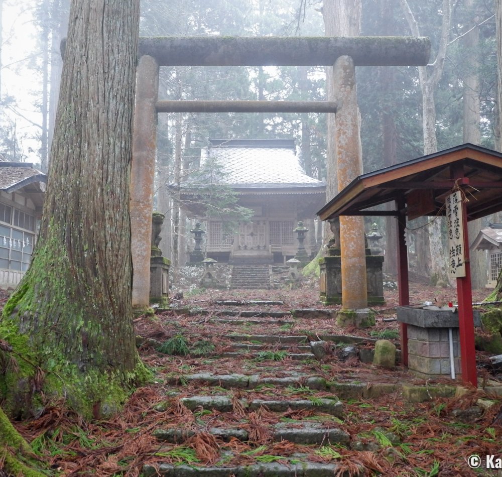 Kinpo-jinja (Akita), Komainu statue and main hall of the shrine