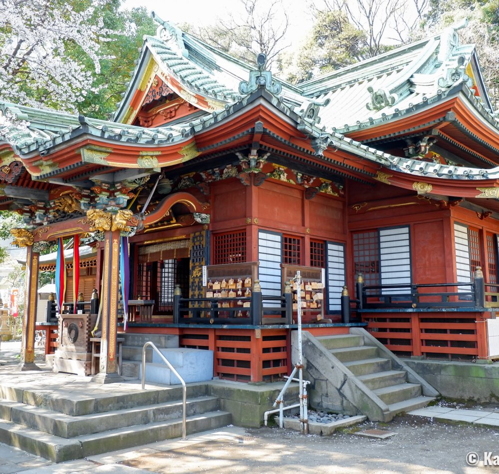 Oji (Tokyo), Otonashi Shinsui Koen Park and blooming Japanese cherry trees