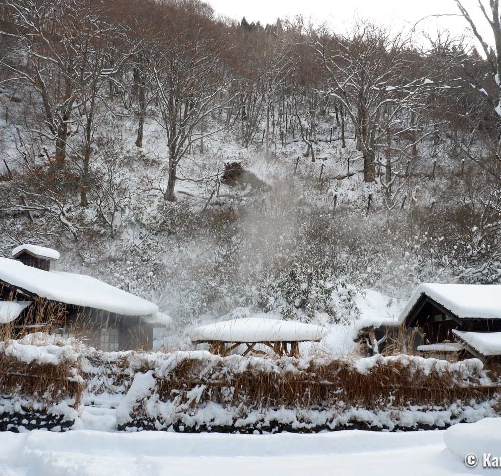 Tsuru-no-yu Onsen (Akita), Open air Konyoku bath (Official picture)