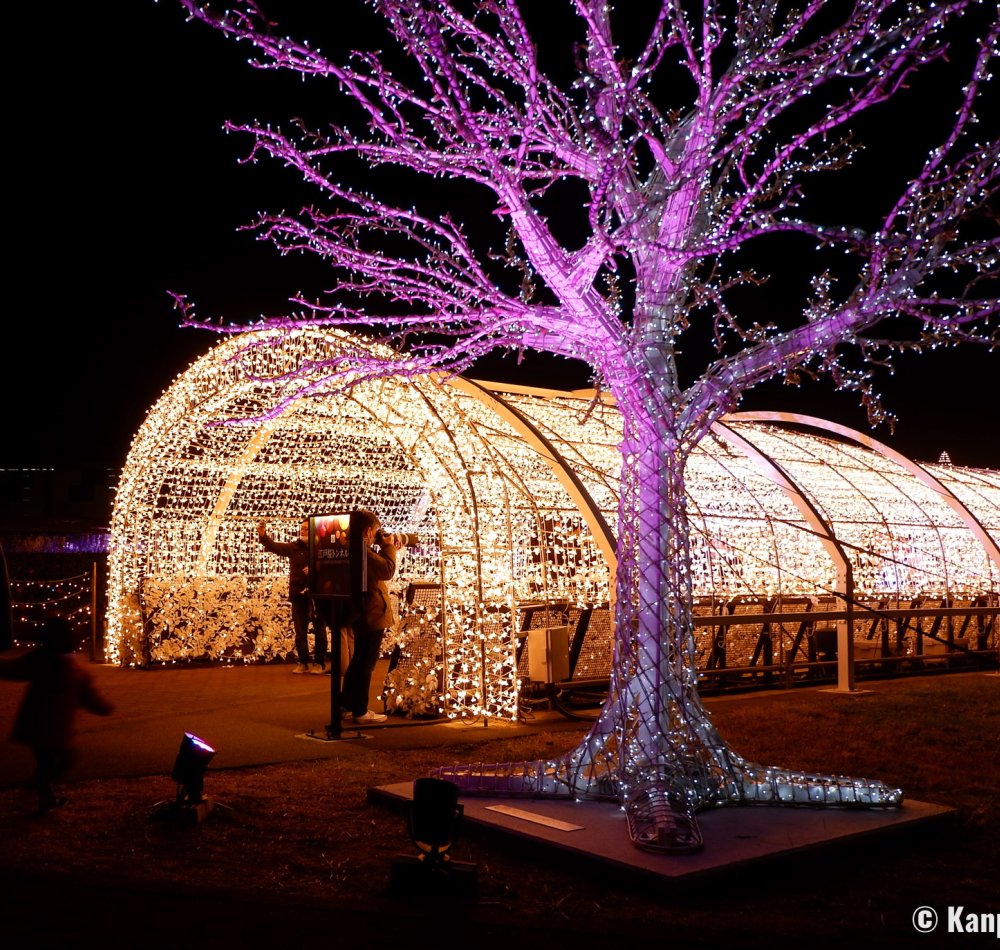 Tokyo Mega Illumination (Shinagawa), Giant tree in Aurora Forest