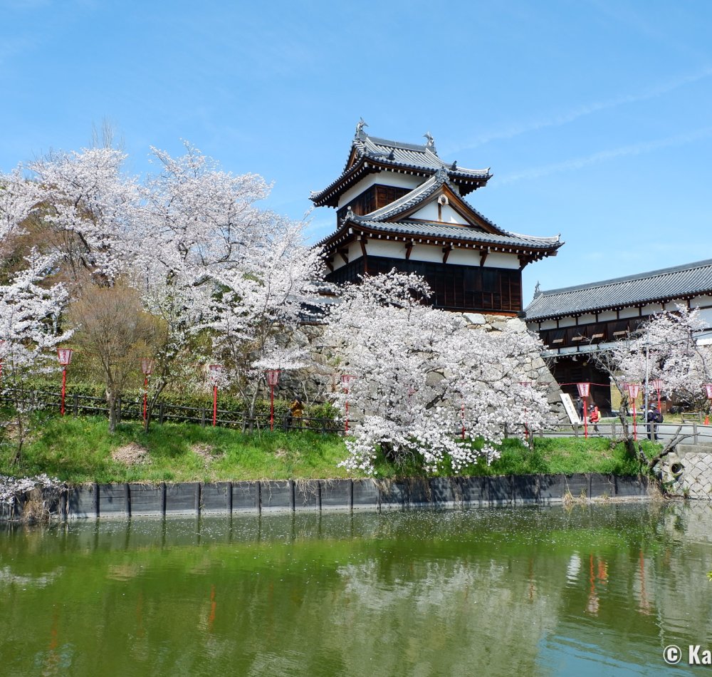 Koriyama Castle (Nara), Panoramic view from the keep's observation platform