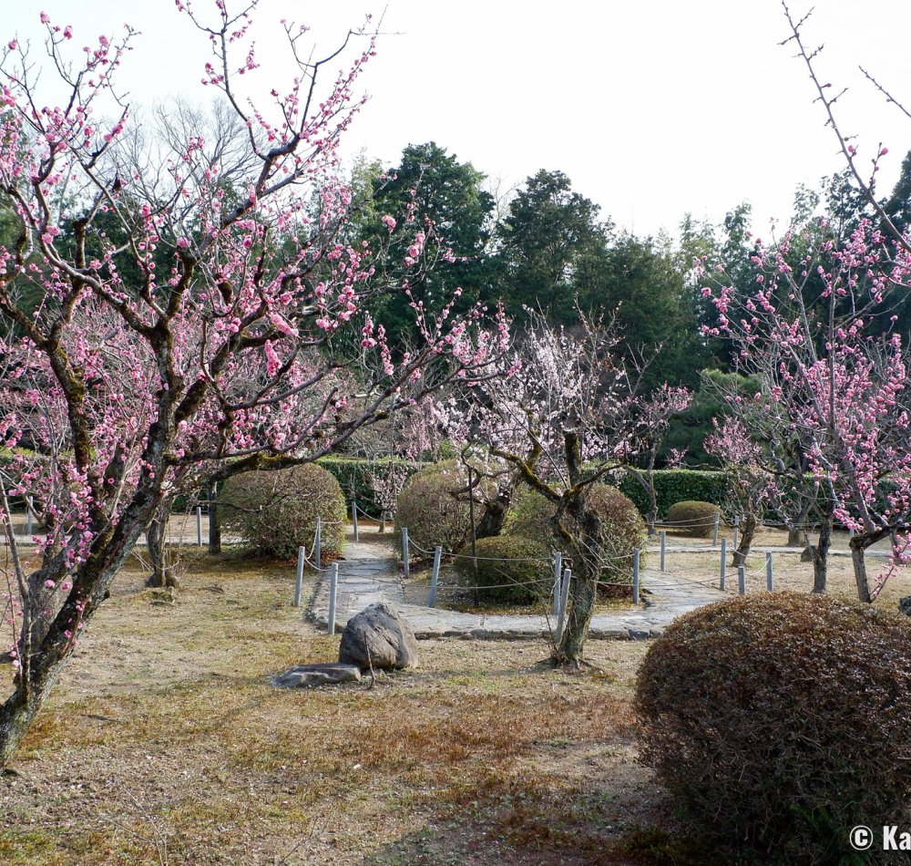 Zuishin-in (Kyoto), Inside view of the Omoteshoin pavilion towards the Buddhist altar