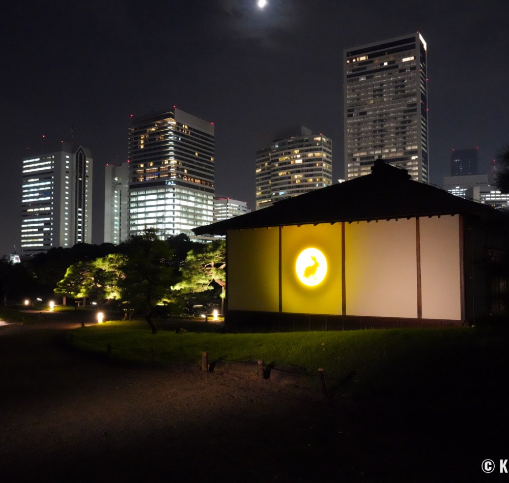 Hamarikyu Tsukimi Sanpo (Tokyo), Night view of the bridge on Shioiri-no-ike pond and a Japanese pine tree