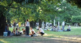Yoyogi Park in Tokyo, People enjoying the shade of trees and pond in summer