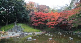 Koishikawa Korakuen (Tokyo) in autumn
