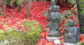 Daisho-in Temple (Miyajima), Buddhist statues laden stairway covered in red maple tree leaves in autumn 