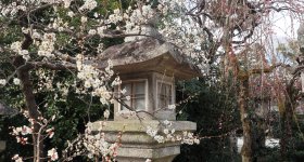 Kitano Tenmangu, Treasure Hall Homotsu-den and plum trees in February