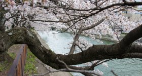 Okazaki Canal