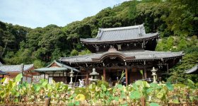 Mimuroto-ji, Main Hall Hondo