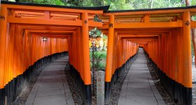 Fushimi Inari Taisha (Kyoto), The torii gate tunnel in winter