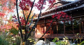 Tenju-an (Kyoto), View on the garden in autumn