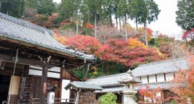 Yoshimine-dera (Kyoto), Tahoto pagoda in autumn