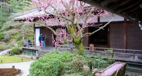 Shoren-in (Kyoto), Women wearing traditional kimono