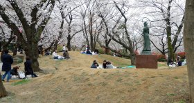 Asukayama Park, Group of young Japanese partying under the cherry trees