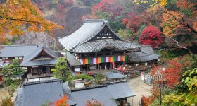 Oka-dera (Asuka), Temple's grounds in spring and Shoro-do Bell tower