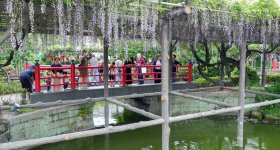 View on Tokyo SkyTree from Kameido Tenjin shrine