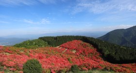 Mount Yamato-Katsuragi-san (Nara), View on the azaleas