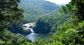 Iriomote (Yaeyama - Okinawa), Cruise on Urauchi River