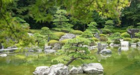 Ohori Park (Fukuoka), View on the lake and on the city