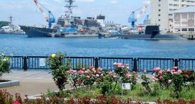 Yokosuka, Verny Park in spring