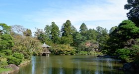 Narita-san Park, Pond with koi carps in the Japanese garden