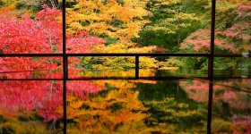 Ruriko-in, Garyo-no-niwa garden in autumn