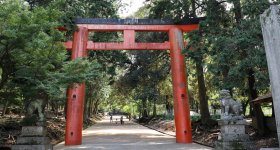 Tamukeyama Hachiman-gu, Main pavilion of the shrine