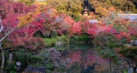 Eikan-do Temple (Kyoto), View on the pond and the momiji in autumn