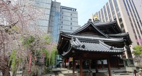 Rokkaku-do (Kyoto), Hexagonal pavilion and weeping cherry tree in spring
