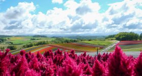 Biei (Hokkaido), The blue water of Lake Aoi-ike 
