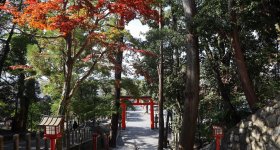 Yoshida-jinja (Kyoto), Great torii gate at the entrance of the shrine