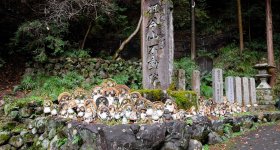 Tanukidani-san Fudo-in (Kyoto), Main hall of the temple