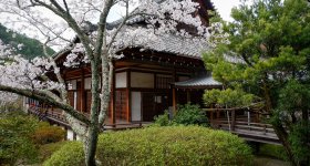 Bishamon-do (Kyoto), Reiden pavilion and blooming cherry trees