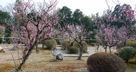 Zuishin-in (Kyoto), Inside view of the Omoteshoin pavilion towards the Buddhist altar