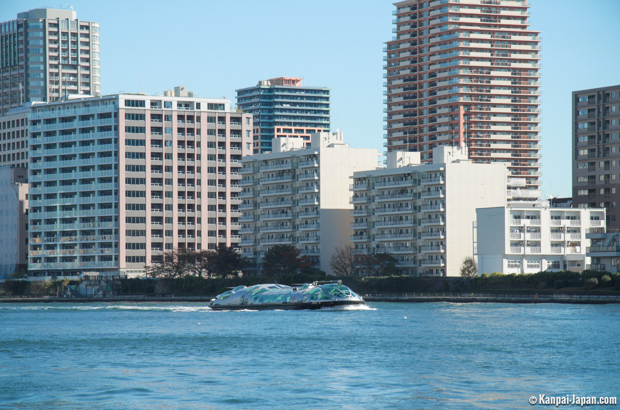 tokyo cruise ship himiko