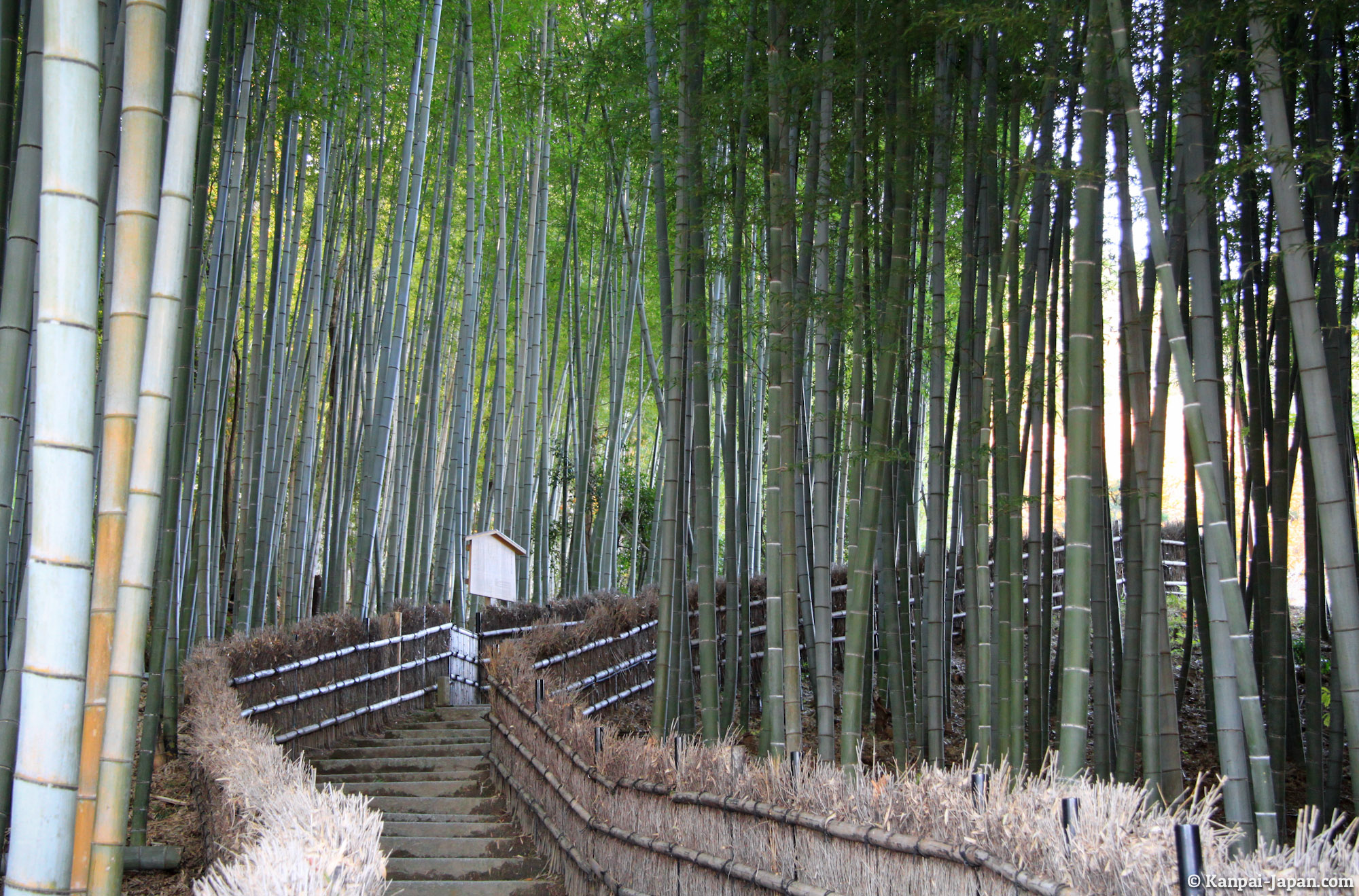 Adashino Nenbutsu Ji The Temple With 8 000 Buddhist Statues In Arashiyama Adashino Nenbutsu Ji The Temple With 8 000 Buddhist Statues In Arashiyama