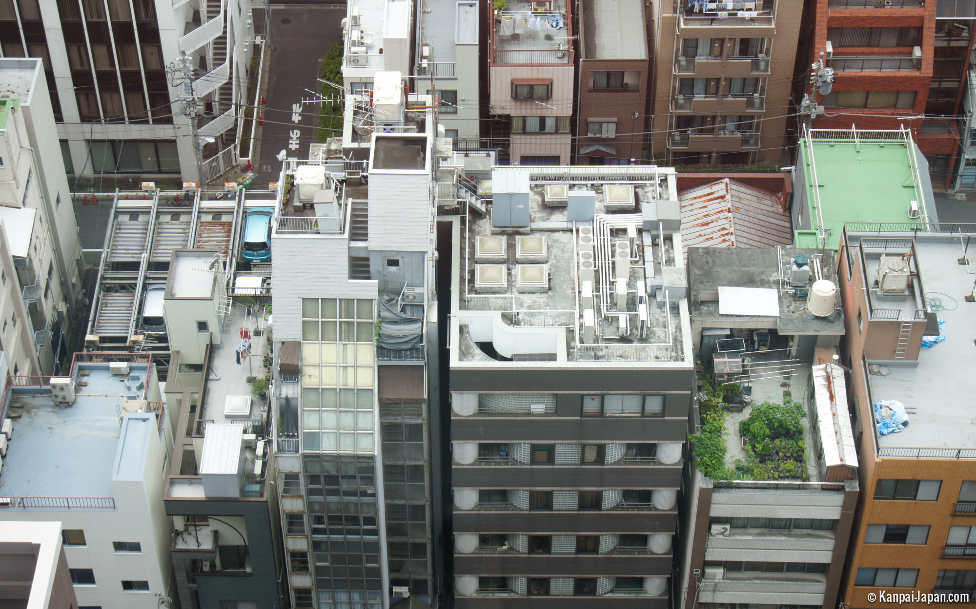 On Tokyo’s rooftops