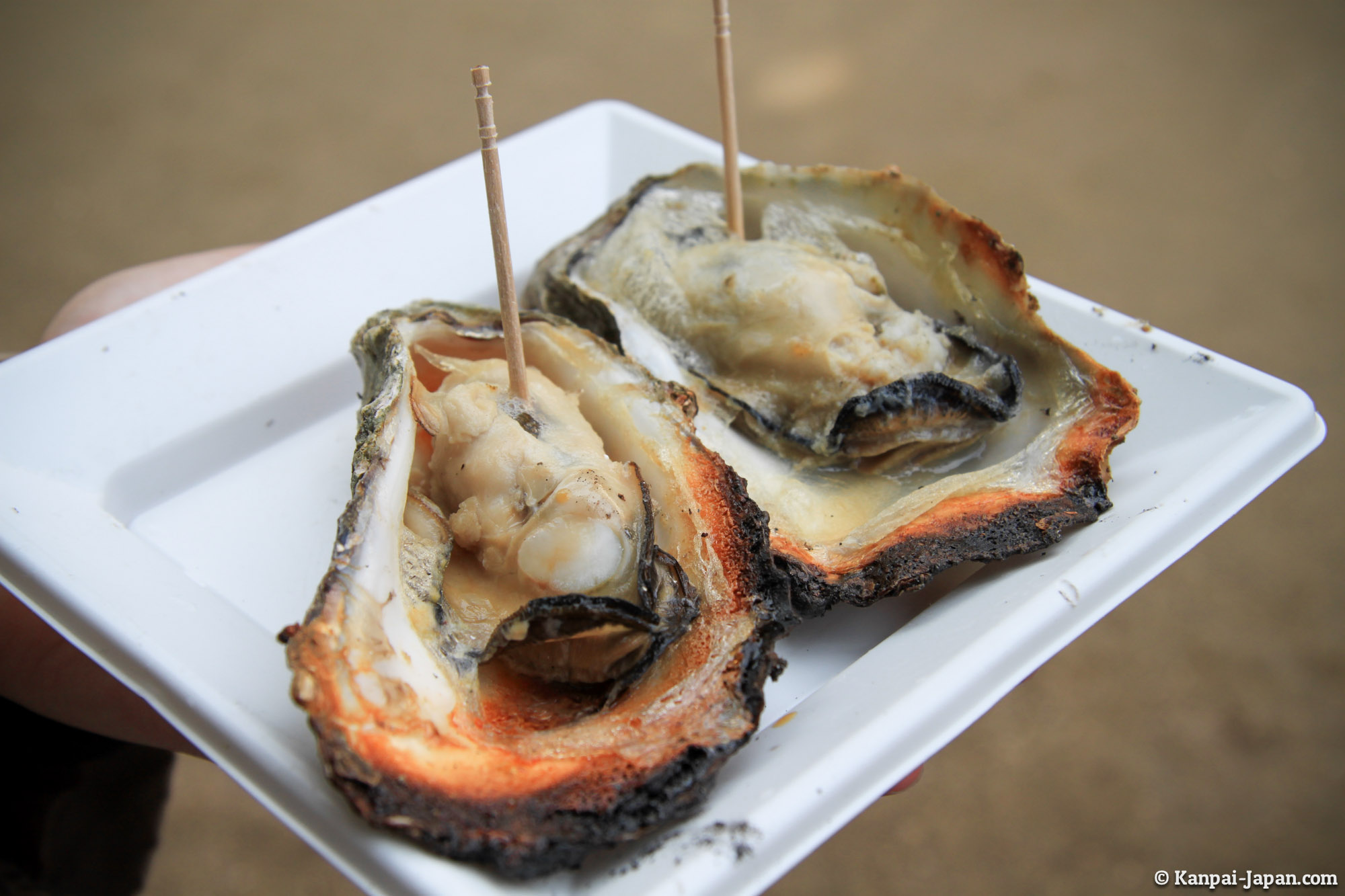 Miyajima's Cooked Oysters - The Must-eat Seafood in Hiroshima Area