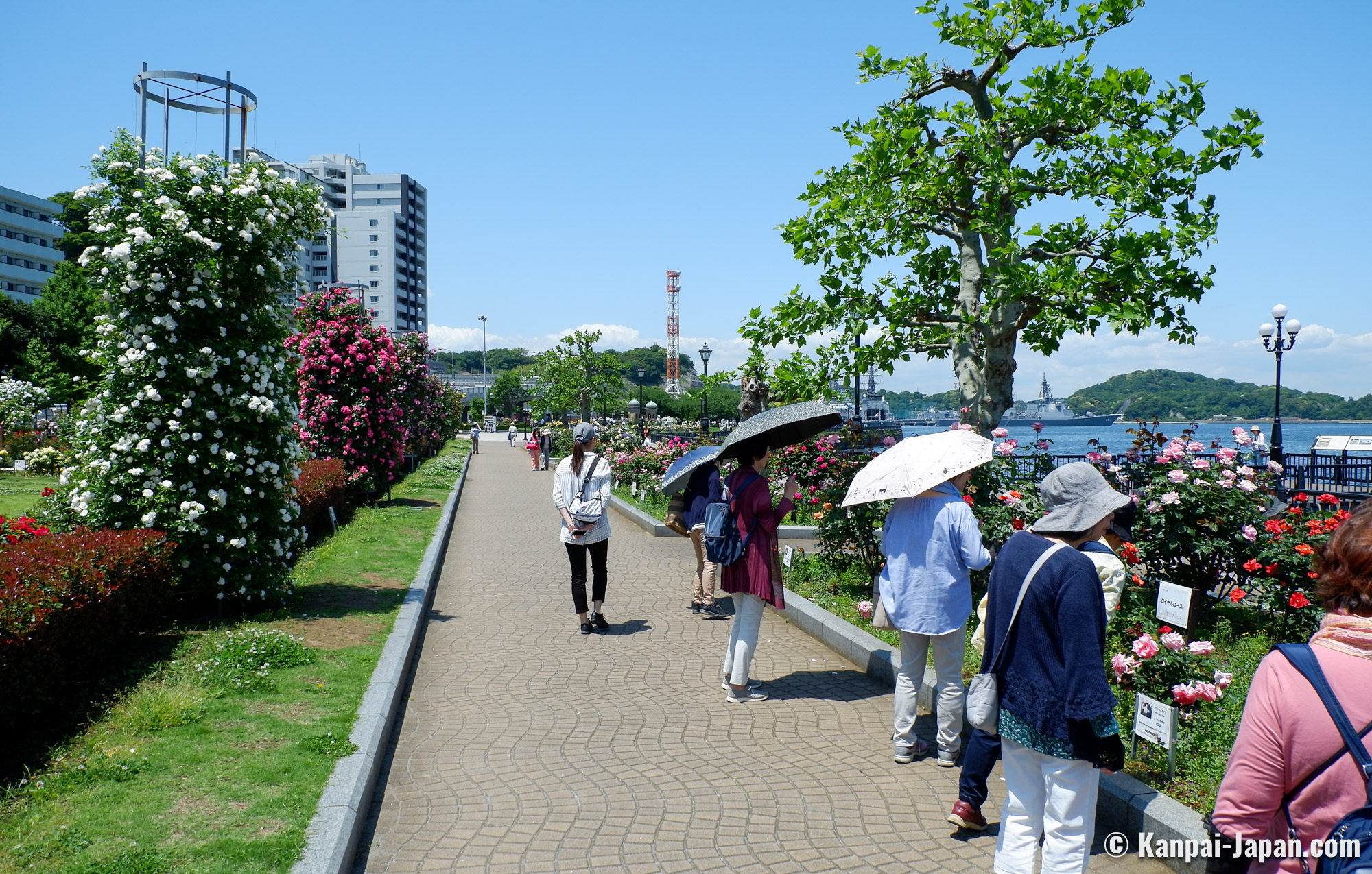 Miura Peninsula  Fastest Known Time