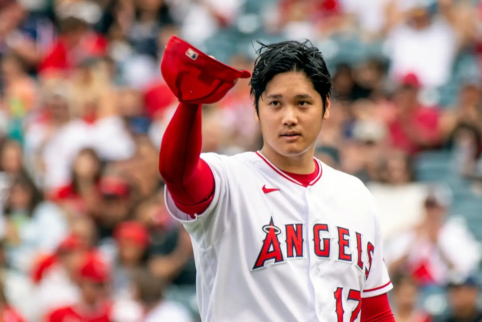 Ohtani, Japanese name, Written in Kanji T-Shirt