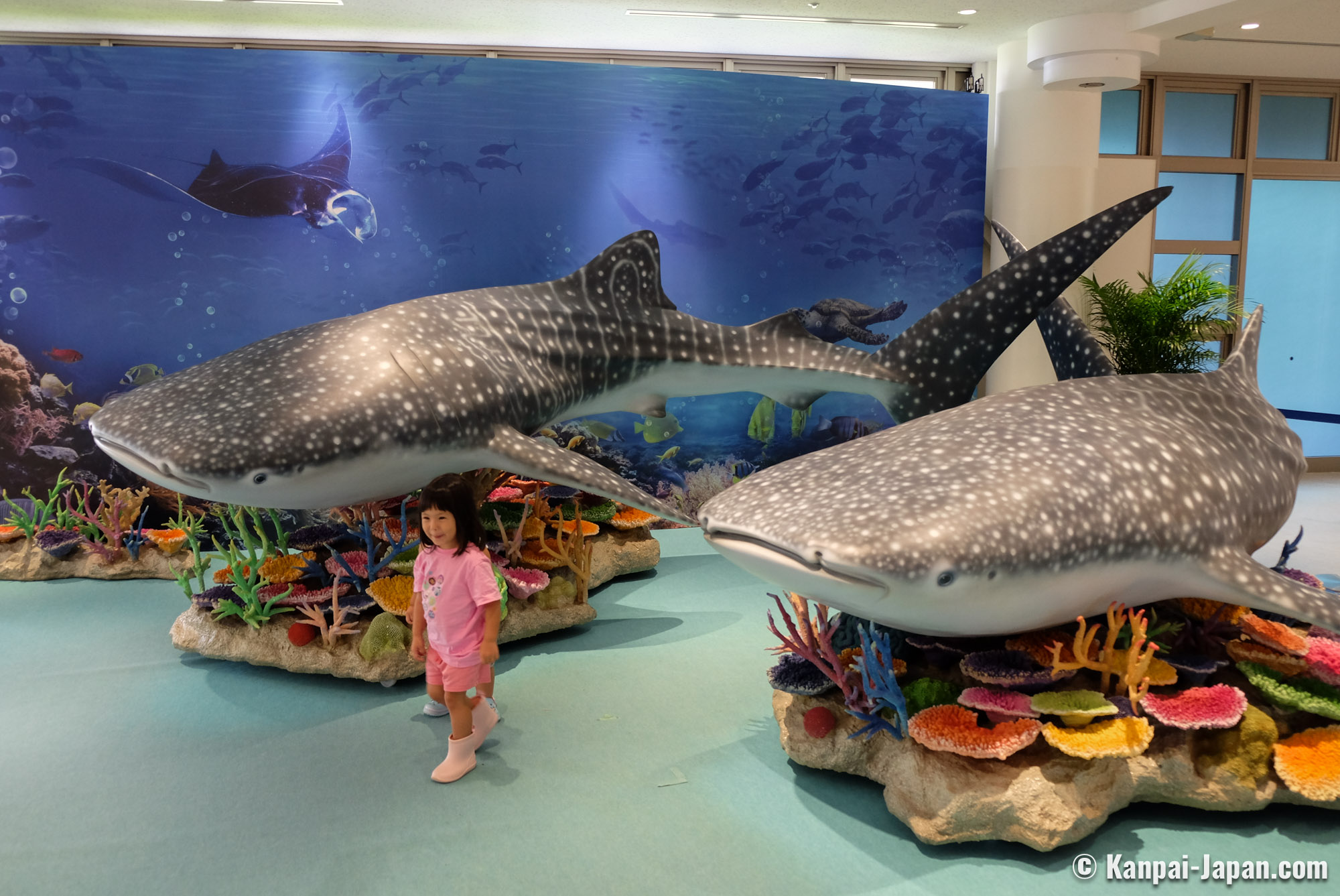 Okinawa Churaumi Aquarium In Japan Facts Pod
