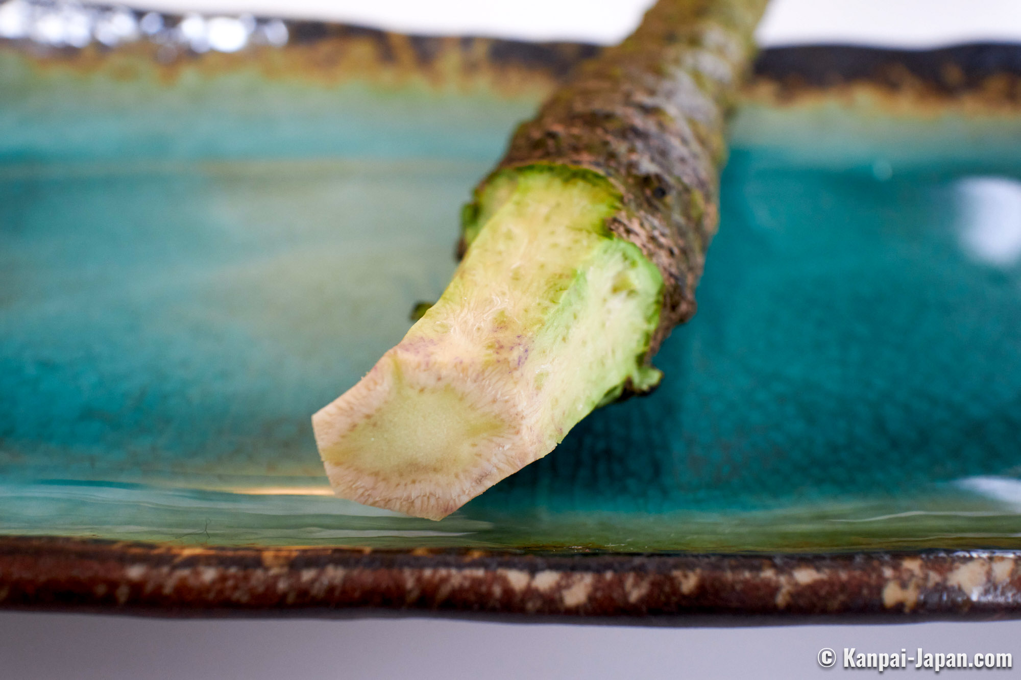 TANOSHI - Wasabi - Raifort Japonais à Utiliser comme Condiment