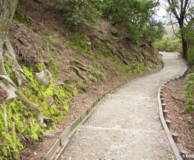 Wakakusayama Nara 10 Wakakusayama Nara 10